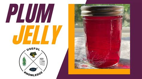 Plum Jelly  Useful Knowledge