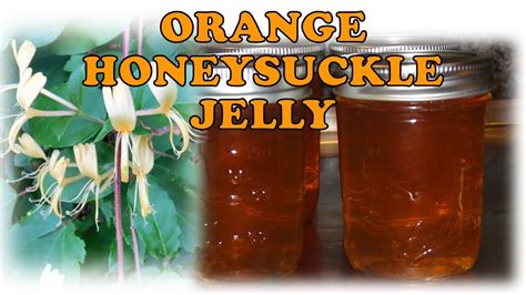 Orange Honeysuckle Jelly - How to Make  Can  Useful Knowledge