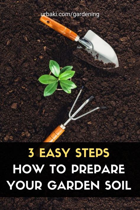 How to Prepare Your Garden Soil for Planting Vegetables  Useful Knowledge